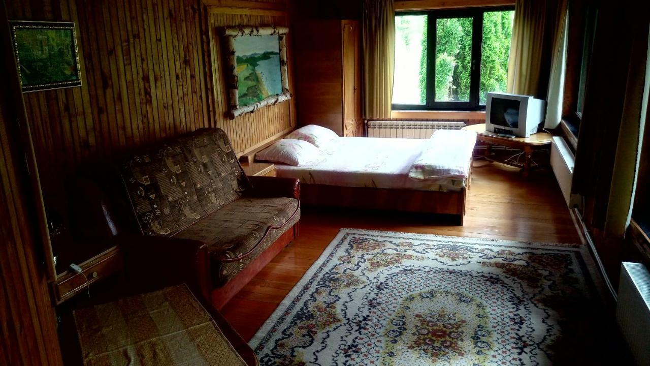 Family Room with Mountain View,883962700:JPEG