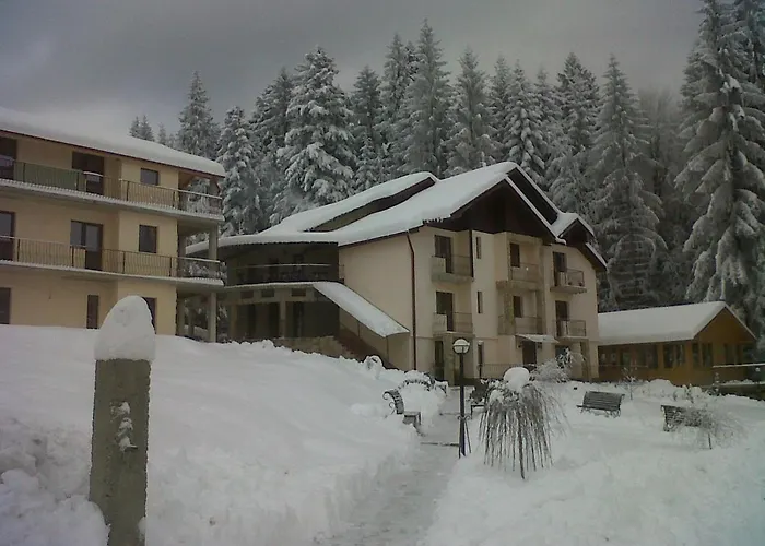 Pensiunea Lu' Movila Durău